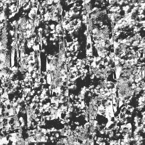 a3155340223_10